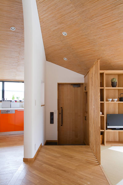 -Pentagonal House
