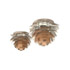 Christie`s-Artichoke chandeliers (pair)
