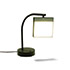 Della Rocca-Resin table lamp