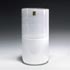 Quittenbaum-Vase 'Filigrane di Tapio'