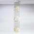 Phillips, de Pury & Company-Fun 3 DM Hanging Lamp