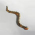 Sotheby´s-SNAKE LAMP