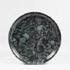 Tajan-Plate Fossiles