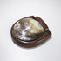 Wright-Hinged box