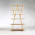 Wright-Nuvola Rossa bookcase