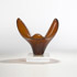 Wright-Equilibrio
