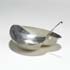 Wright-TW-4 dish