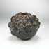 Wright-Large bulbous form