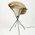 Wright-Lamp