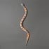 Wright-Snake lamp