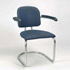 Quittenbaum-Chair 'SS 37'