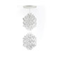 Spiral White