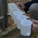 Link Mugs 100% Futures