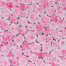 FueraDentro Bloom Wall panels Wall pictures