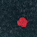 FueraDentro Bloom Wall panels Wall pictures
