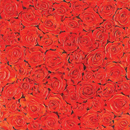 FueraDentro Bloom Wall panels Wall pictures