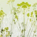 Hornschuch Herbage Pellicole / Adesivi da parete