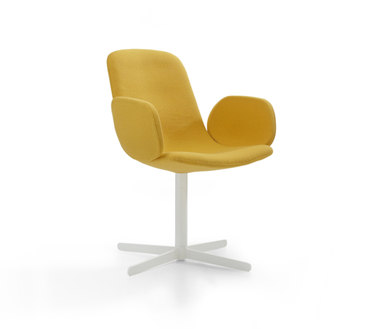 Moon OFFECCT