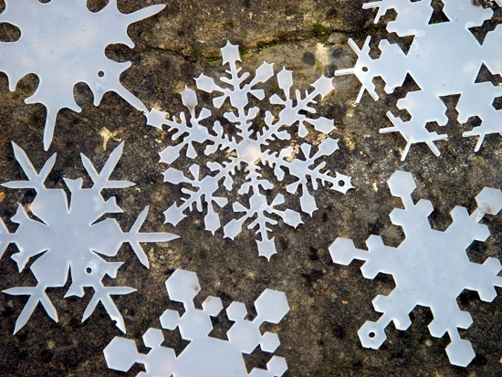 Eisblumen schindlersalmerón