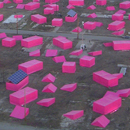 The Pink Project