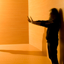 Fantoni sponsors the 11th International Architecture Exhibition of La Biennale di Venezia