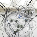 Fortsetzung der Dornbracht Installation Projects®: Tomás Saraceno „Cloud Cities“ im Hamburger Bahnhof