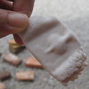 Moulded Nature