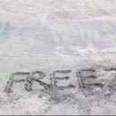FREEZE project