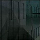 Undiszipliniert / Undisciplined