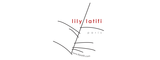 Lily Latifi | Interior fabrics / Upholstery materials | Curtains / Blind systems