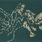 Kasthall-2