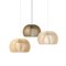 Secto Design-2