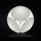 Foscarini-1