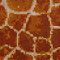 Bisazza-2