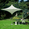Skia_2