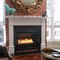 EcoSmart™ Fire-4