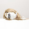 Nina Levett_3