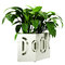 FLORA-2