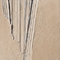 CINIER-4