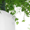 Greenworks_4
