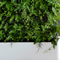 Greenworks_3