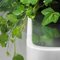 Greenworks_1
