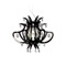 Slamp-3