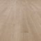DINESEN-3