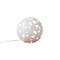dutchglobe_1