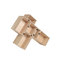 Postfossil_3