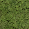 Verde Profilo-1