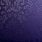 Dux International_4
