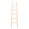 Discipline-4