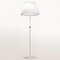 ARKOSLIGHT-2